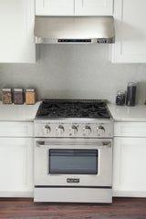 Kucht Professional 30" 4.2 cu ft. Natural Gas Range in Silver with Silver Accents, KNG301-S
